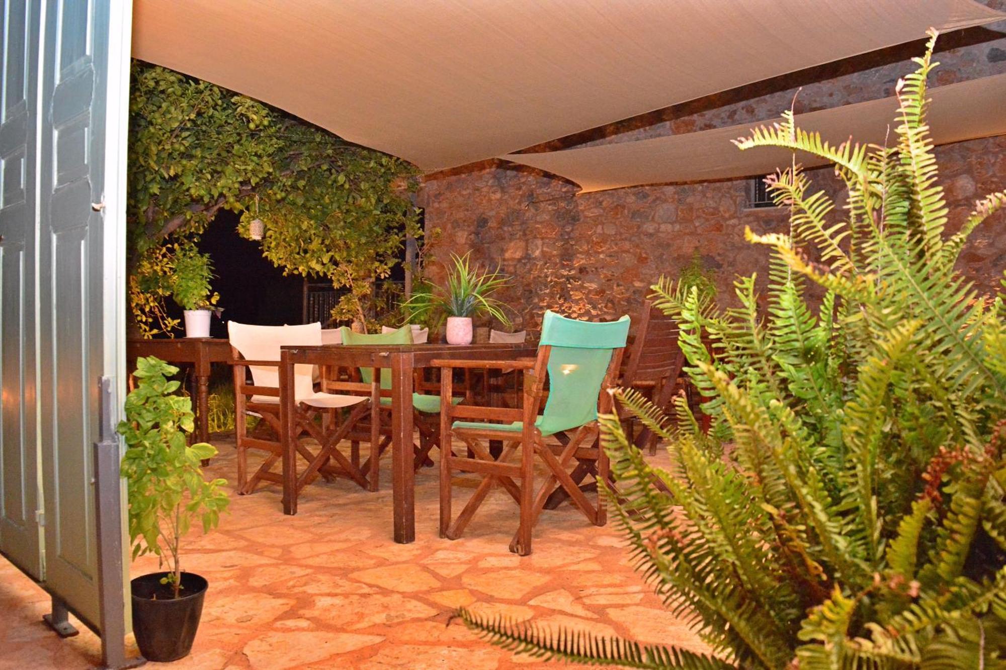 Villa In The Olive Trees Галаксиди Экстерьер фото