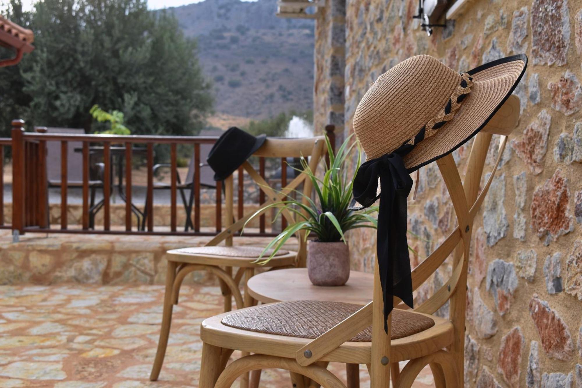 Villa In The Olive Trees Галаксиди Экстерьер фото