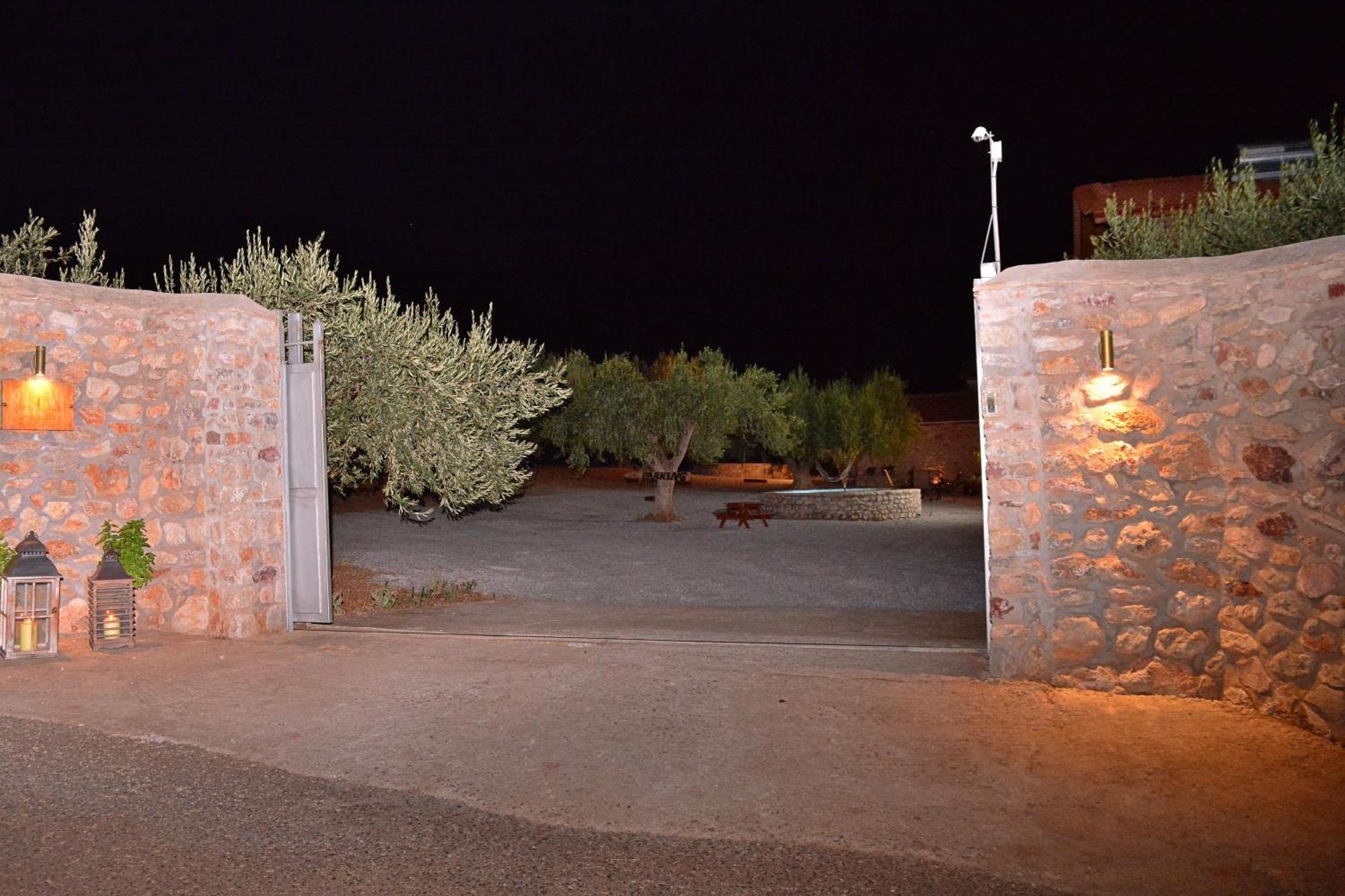 Villa In The Olive Trees Галаксиди Экстерьер фото